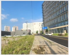  2024Ÿ3560   Ѱ10133 165, 8819ȣ (,ĶѰ1)     Ʈ