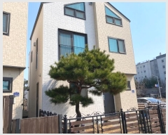  2024Ÿ��34564 ��� ������ ��絿 1289-20       ���ð��