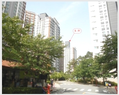  2024Ÿ��43131  ����Ʈ���