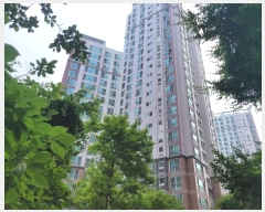  2024Ÿ��43834 ��� ������ �����Ѱ�2�� 103, 501�� 5��501ȣ (��⵿,�ʴ縶���쳲�۽�Ʈ��)    ����Ʈ���