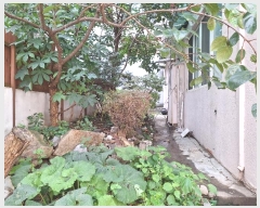  2024Ÿ��45298  ���ð��