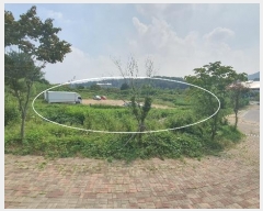  2024Ÿ��48860 ��� ������ ���굿 621-10       ����(����)���