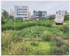  2024Ÿ��48860 ��� ������ ���굿 621-10       ����(����)���