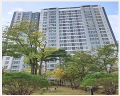  2024Ÿ��51163  ����Ʈ���