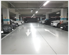  2024Ÿ��51163  ����Ʈ���