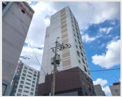  2024Ÿ��44783  ����Ʈ���