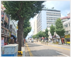  2024Ÿ��46079  ����Ʈ���