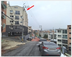  2024Ÿ53688   ȭ51 86, 4401ȣ (쵿,ٿ¾Ƹ 102)    ټ,
