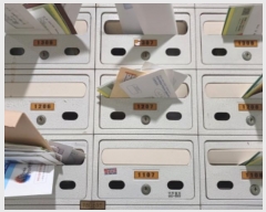  2024Ÿ��54179  ����Ʈ���