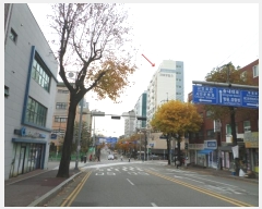  2024Ÿ��54223  ����Ʈ���