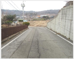  2024Ÿ��978  �����