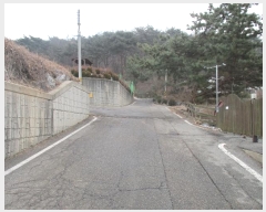  2024Ÿ��978  �����