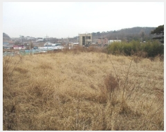  2024Ÿ��978  �����