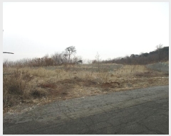  2024Ÿ��978  �����