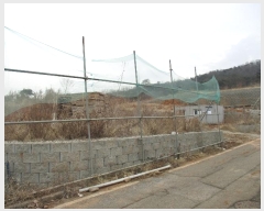  2024Ÿ��978  �����