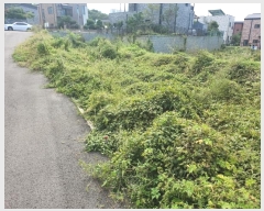  2024Ÿ��10357 ��� ȭ���� ������ ���ϸ� 69-10      ����(�Ӿ�)���