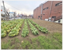  2024Ÿ��12414  �����