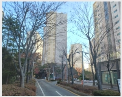  2024Ÿ��13127  ����Ʈ���