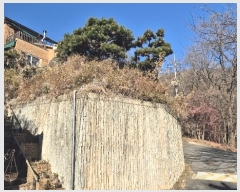  2024Ÿ��13332  ���ð��