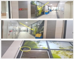  2024Ÿ��14106 ��� ȭ���� ��ź��� 446, 2��2012ȣ (û�赿,��ź���׶���ƽ�Ÿ)     ��,�繫�ǰ��