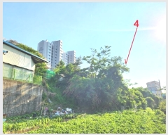  2024Ÿ71178  ν ﱸ û 200-2      ()