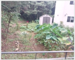  2024Ÿ��86767  ����