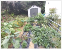  2024Ÿ��86767  ����