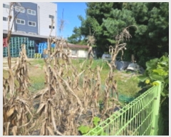  2024Ÿ��88596 ��� ���ν� ó�α� ��ϸ� ����� 612-10     ����(������)���