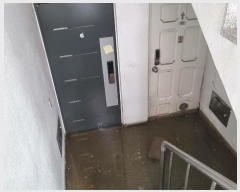  2024Ÿ��96191 ��� ������ ��ȱ� ������275���� 31, ���̵� ������101ȣ (���ڵ�,���Ϻ���)   �ټ���,������