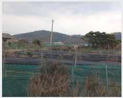  2024Ÿ��97521  �����