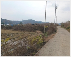  2024Ÿ��97521  �����