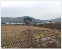  2024Ÿ��97521  �����