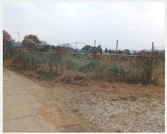  2024Ÿ��97521  �����