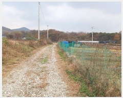  2024Ÿ��97521  �����