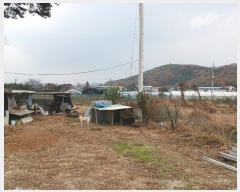  2024Ÿ��97521  �����