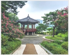  2024Ÿ��8248 ��� ���ν� ���ﱸ ��ź�����785���� 31, 102�� 2��201ȣ (���ŵ�,���������)   ����Ʈ���