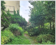  2024Ÿ��8248 ��� ���ν� ���ﱸ ��ź�����785���� 31, 102�� 2��201ȣ (���ŵ�,���������)   ����Ʈ���