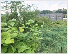  2024Ÿ��10159 ��� ȭ���� ������ ���縮 762      ����(��1)���