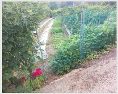  2024Ÿ��10159 ��� ȭ���� ������ ���縮 762      ����(��1)���