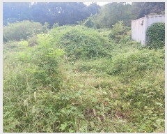  2024Ÿ��10159 ��� ȭ���� ������ ���縮 762      ����(��1)���