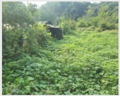  2024Ÿ��10159 ��� ȭ���� ������ ���縮 762      ����(��1)���