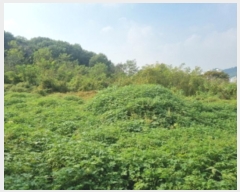  2024Ÿ��10159 ��� ȭ���� ������ ���縮 762      ����(��1)���