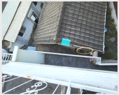  2024Ÿ12032   ȴޱ ȴ޹41 43, 1101ȣ     ,繫ǰ