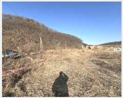  2024Ÿ��13356  ����