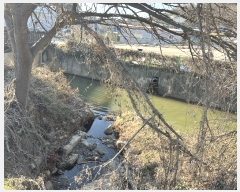  2024Ÿ��13356  ����