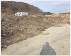  2024Ÿ��13356  ����