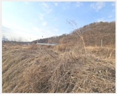  2024Ÿ��13356  ����