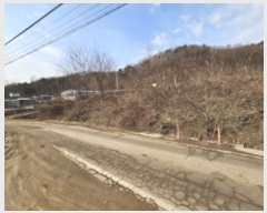  2024Ÿ��13356  ����