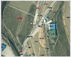  2024Ÿ��13356  ����