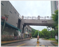  2024Ÿ��75491  ����Ʈ���